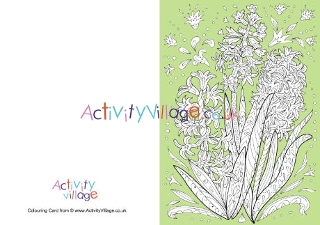 Hyacinth doodle colour pop colouring card