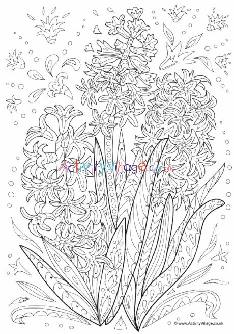 Hyacinth doodle colouring page