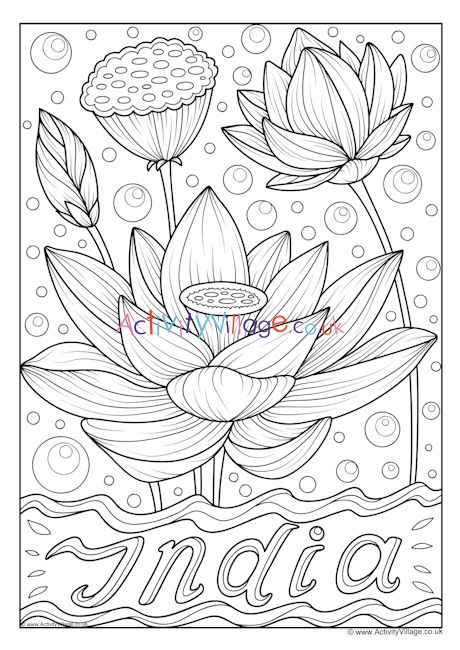 India national flower colouring page