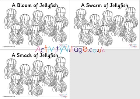 Jellyfish collective noun colouring pages