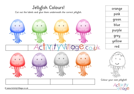 Jellyfish colour labelling worksheet