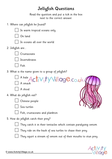 Jellyfish comprehension questions - multiple choice