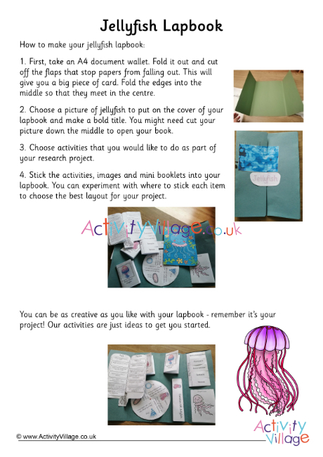 Jellyfish lapbook instructions