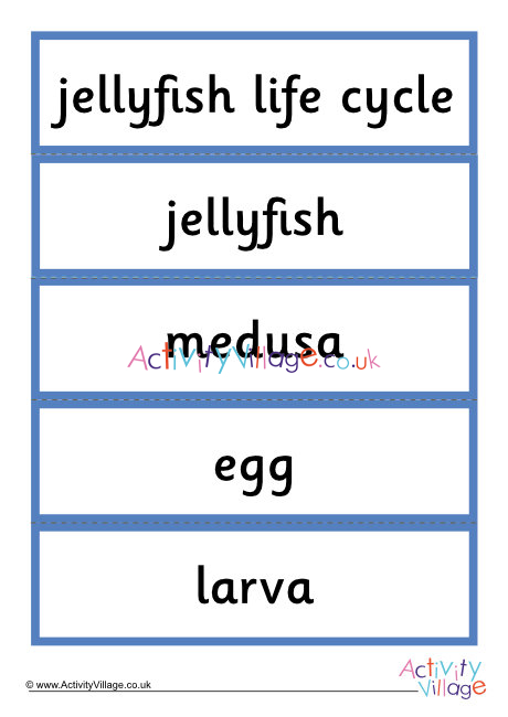 Jellyfish word cards