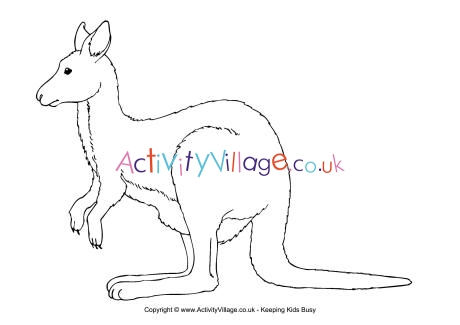 Kangaroo colouring page