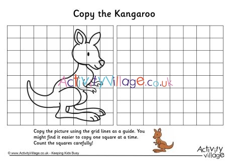 Kangaroo grid copy