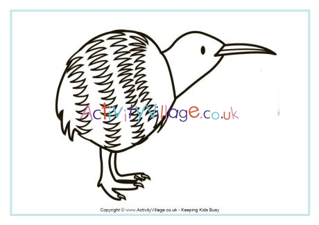 Kiwi colouring page 2