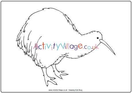 Kiwi colouring page