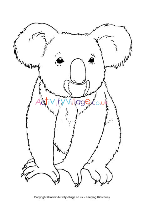 Koala colouring page 3