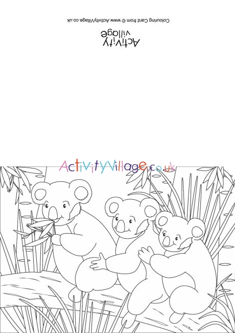 Koala scene colouring card