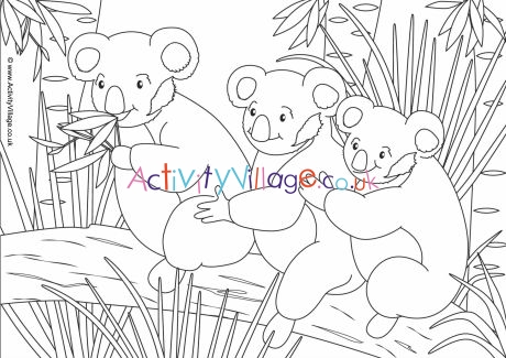 Koala scene colouring page