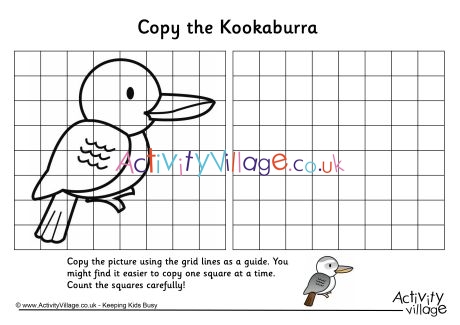 Kookaburra grid copy