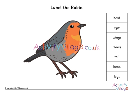 Label Parts Of A Robin