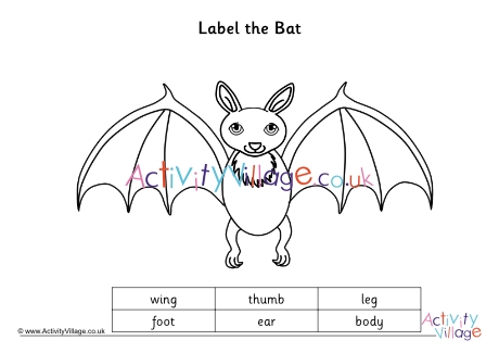 Label the bat worksheet