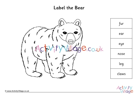 Label the bear worksheet
