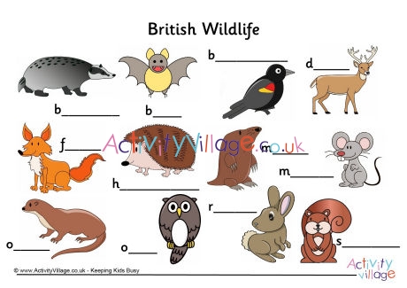 Label the British Wildlife worksheet