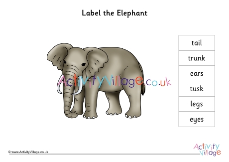 Label the elephant
