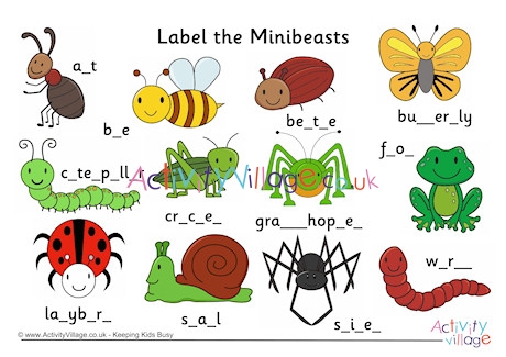 Label the Minibeasts