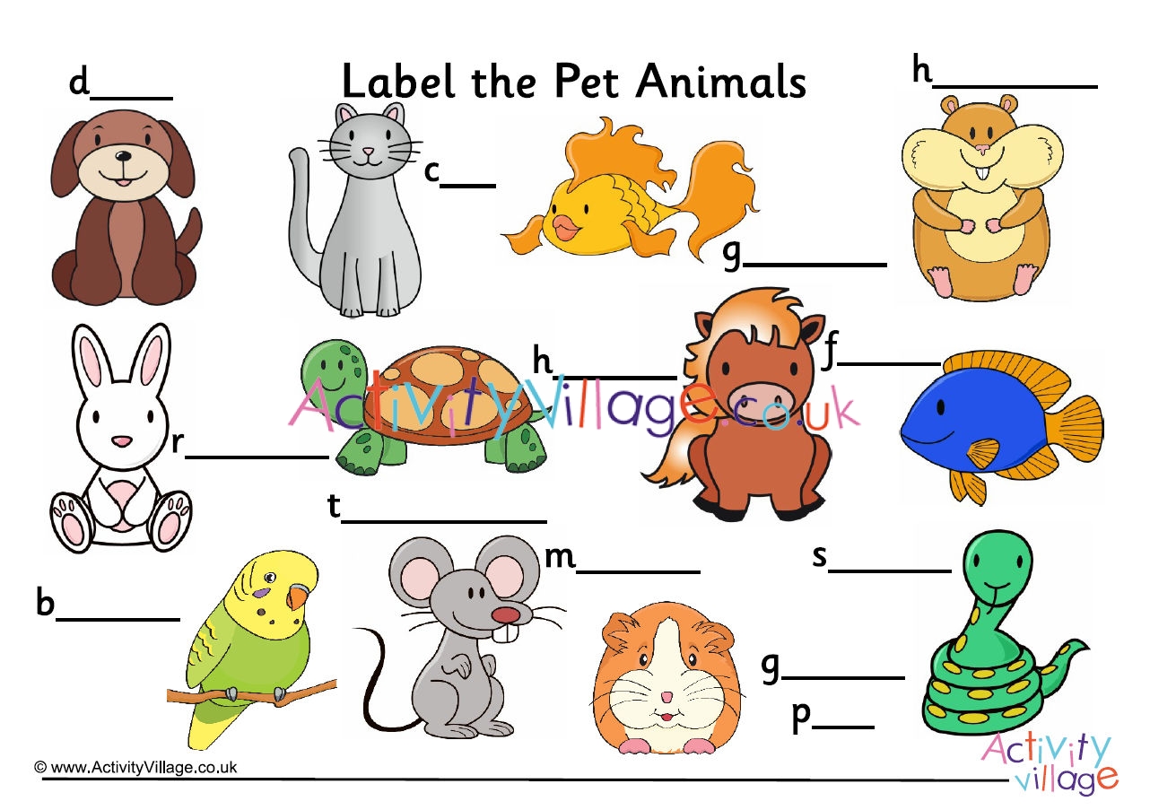 Label The Pet Animals