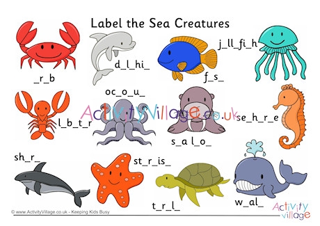 Label The Sea Creatures