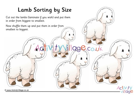 Lamb Size Sorting