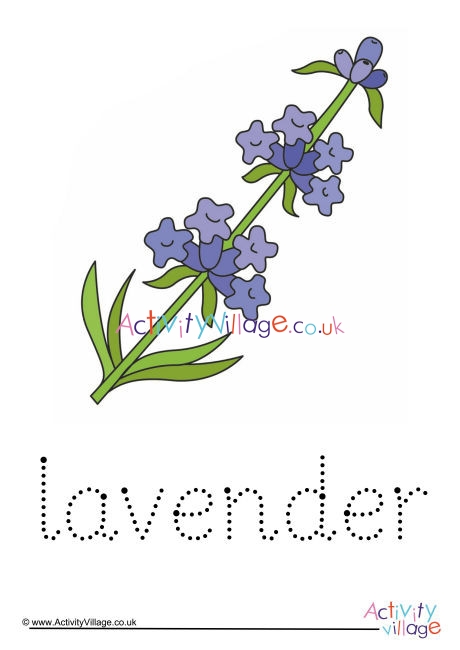 Lavender Word Tracing