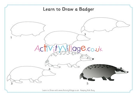 Learn to draw a badger 