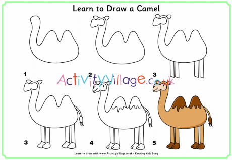 Learn to draw a camel