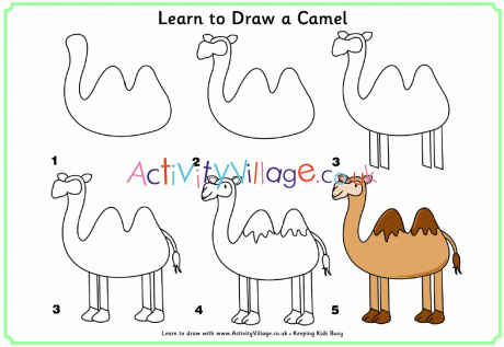 Learn to draw a camel
