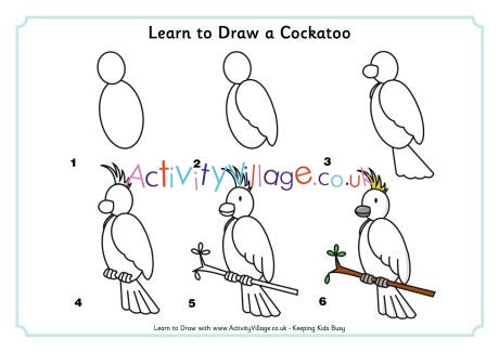 Learn to draw a cockatoo