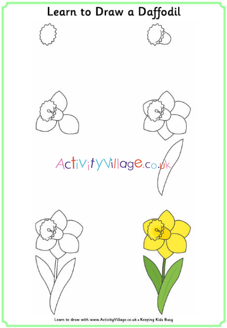Learn To Draw A Daffodil A daffodil flower with a red cup and white petals. learn to draw a daffodil