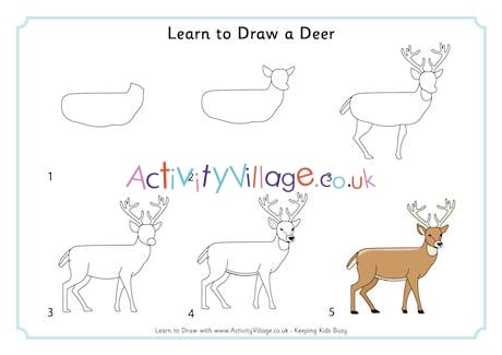 Learn to Draw a Deer