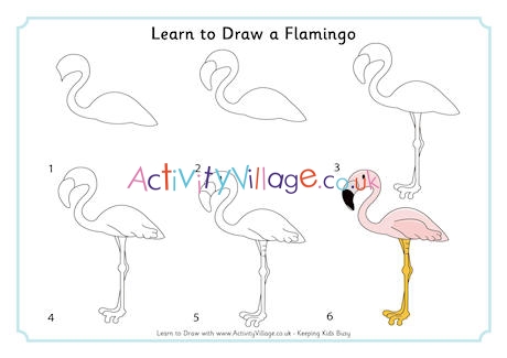 Learn to Draw a Flamingo