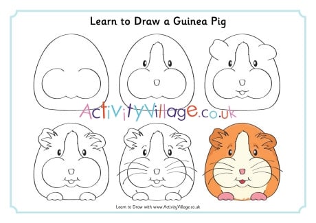 Learn To Draw Guinea Pig