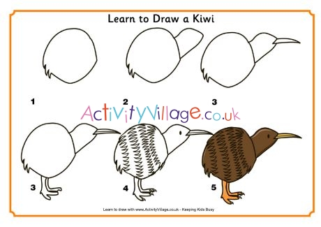 Learn to draw a kiwi