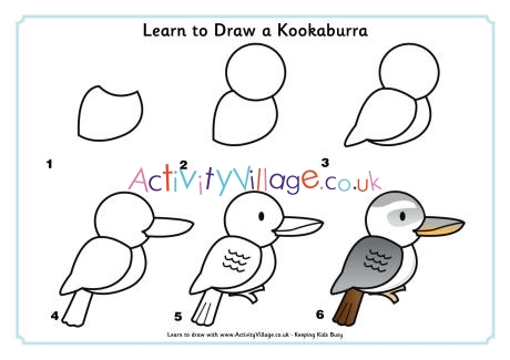 Learn to draw a kookaburra