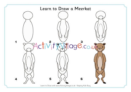 Learn to Draw a Meerkat