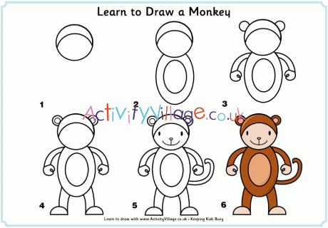 Learn to draw a monkey