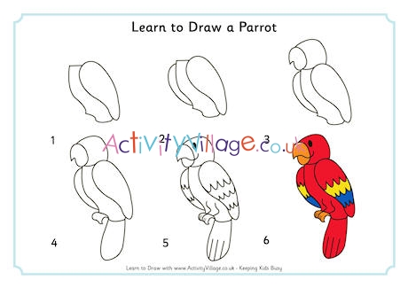 Learn to Draw a Parrot