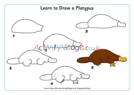 Learn to draw a platypus