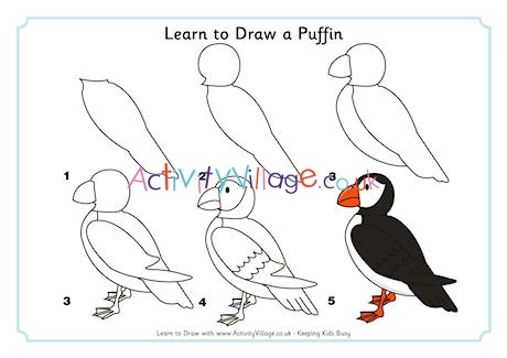 How to draw a puffin  Childrens books  The Guardian