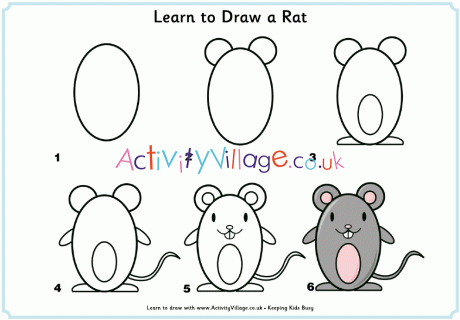 Learn to draw a rat