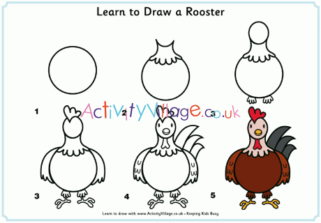 Learn to draw a rooster