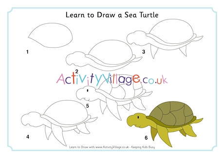 Learn to Draw a Sea Turtle