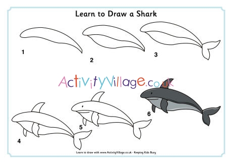Learn to draw a shark