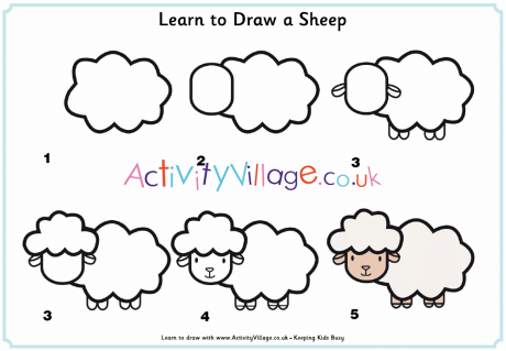 Learn to Draw a Sheep Learn to Draw a Sheep