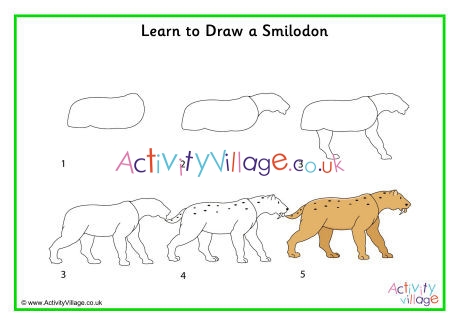 Learn To Draw A Smilodon