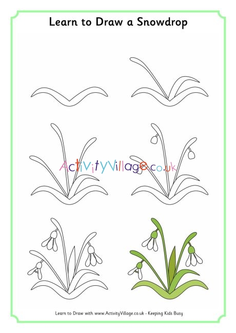 Snowdrop galanthus flower sketch engraving vector illustration tshirt  apparel print design scratch board style imitation  CanStock