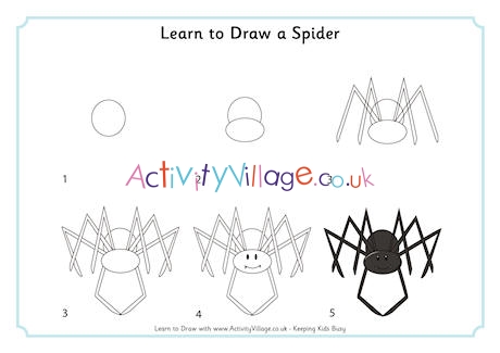 Learn to Draw a Spider