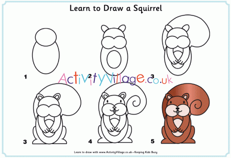 Learn to draw a squirrel